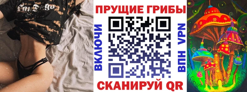 Купить закладки  Кириллов  Псилоцибиновые грибы Cubensis 